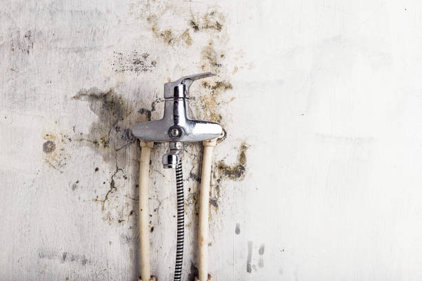 Best Mold Testing  in Altamont, OR