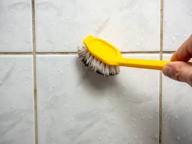 Best Black Mold Removal  in Altamont, OR