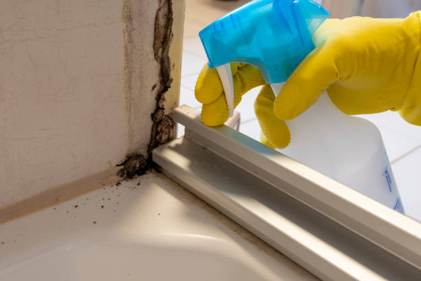 Best Certified Mold Removal  in Altamont, OR