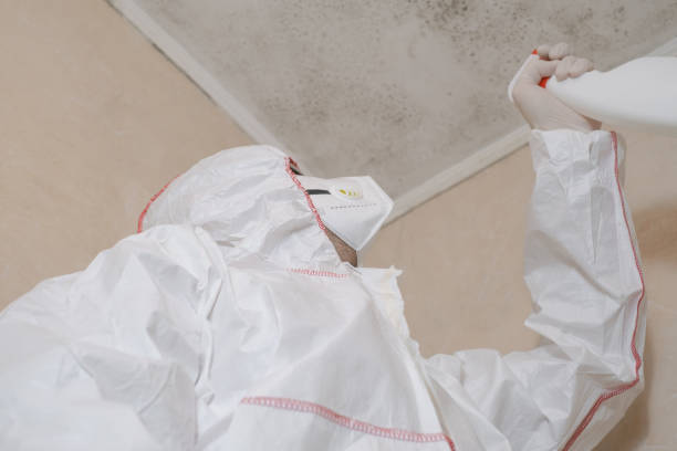 Best Mold Cleaning Services  in Altamont, OR